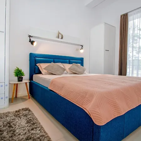 Forest By The Sea 주피터