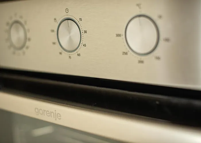 Forest By The Sea * 주피터